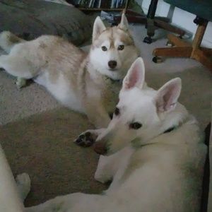 Meet your Posher, Tami